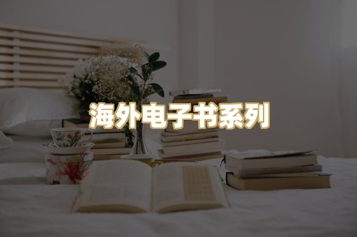 海外电子书系列